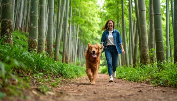 清々しい空気の森を笑顔で走る犬と飼い主 清々しい空気の森を笑顔で走る犬と飼い主の写真