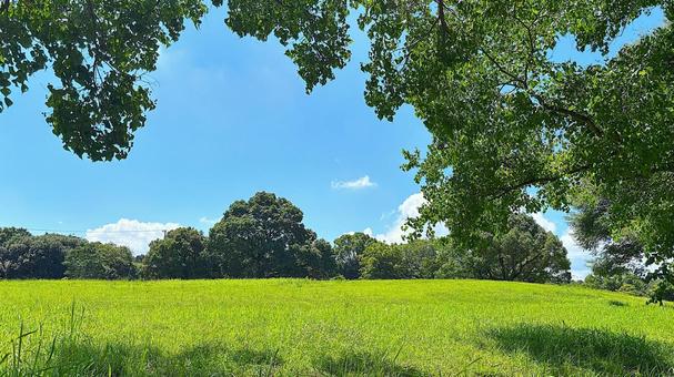 夏の風景 夏の風景 青空,景観,景色の写真素材