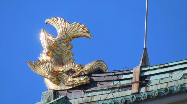 名古屋城　日光を受けて燦然と輝く金鯱　雌 名古屋城,尾張徳川家,御三家の写真素材