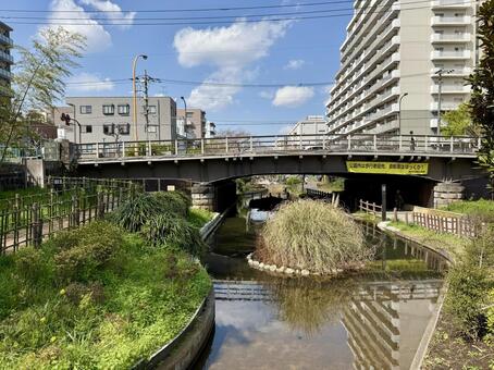 大横川親水公園　2025年春 ビル,大横川親水公園,2025年春の写真素材
