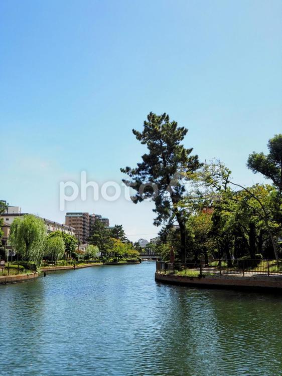 初秋の横十間川親水公園（東京都・江東区） 初秋,東京都,横十間川親水公園の写真素材