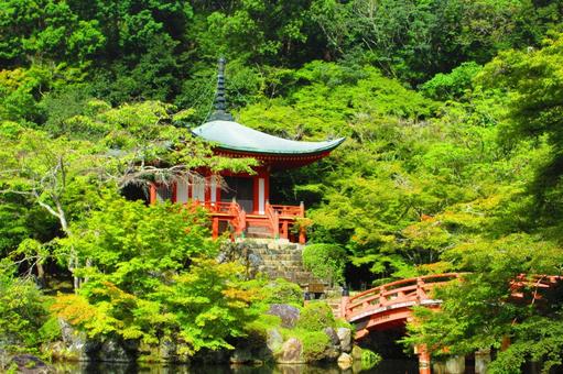 京都府-醍醐寺-大伝法院-弁天堂 京都府-醍醐寺-大伝法院-弁天堂の写真
