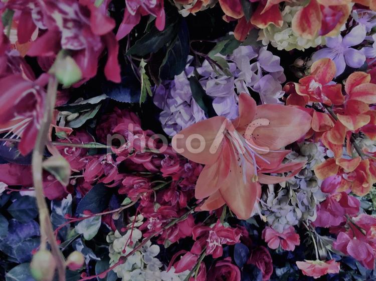 花,テクスチャ, 花,テクスチャ,手花水の写真素材