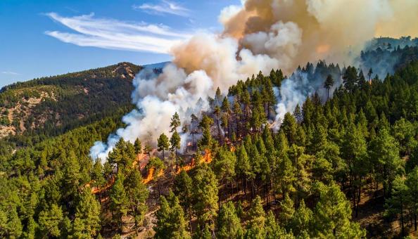 大規模な山火事 大規模な山火事の写真