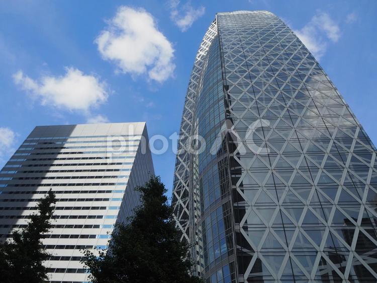 コクーンタワーと高層ビル 新宿,新宿西口,超高層ビルの写真素材
