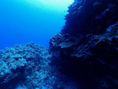 沖縄の海 沖縄の海の写真
