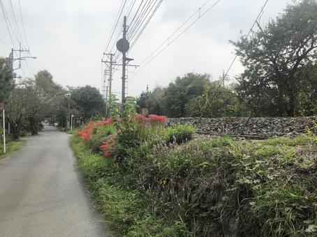 自然風景の写真