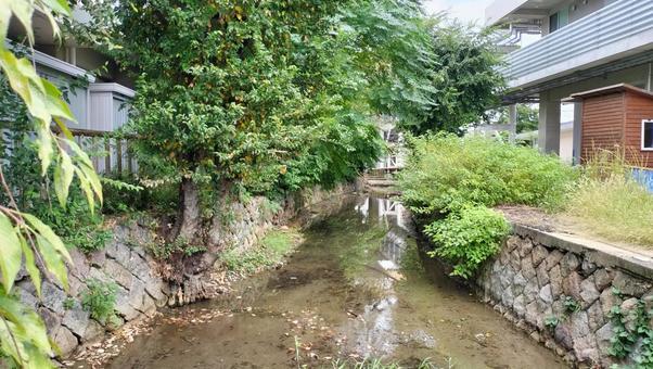 京都 川 京都,川,高瀬川の写真素材