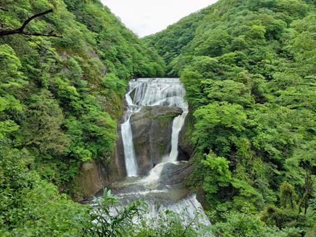 袋田の滝 袋田の滝 滝,日本三名瀑,初夏の緑の写真素材