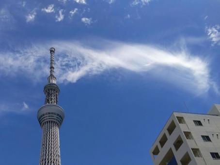 White streaky clouds spread across the blue sky, JPG White streaky clouds spread across the blue sky, JPG