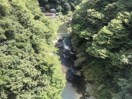 奥多摩の渓谷 奥多摩の渓谷の写真