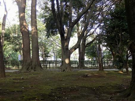 【風景写真】曹洞宗大本山總持寺の風景 【風景写真】曹洞宗大本山總持寺の風景 總持寺,諸嶽山,曹洞宗の写真素材