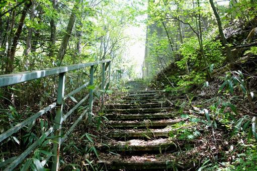 階段 階段の写真