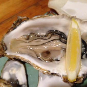 Raw shell with shell, namagaki, rawoyster, kaki, JPG