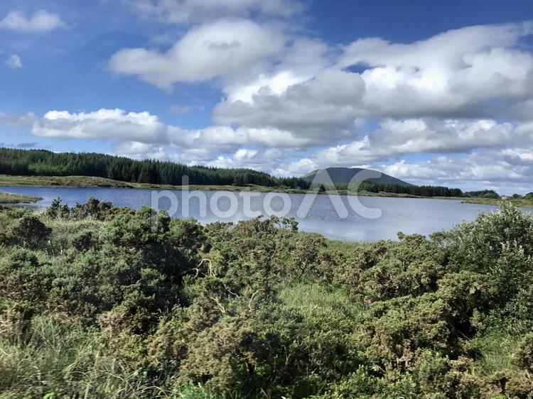 アイルランド、田舎の自然風景 アイルランド,郊外,田舎の写真素材