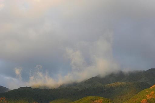 Photo, autumn leaves, cloudy sky, cloud, 