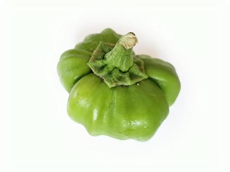 採れたて神楽南蛮_白バック_1 夏野菜,野菜,神楽南蛮の写真素材