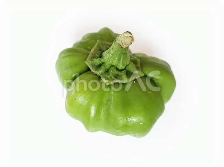 採れたて神楽南蛮_白バック_1 夏野菜,野菜,神楽南蛮の写真素材