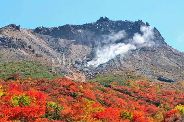紅葉の茶臼岳（栃木那須） 紅葉,秋,山の写真素材