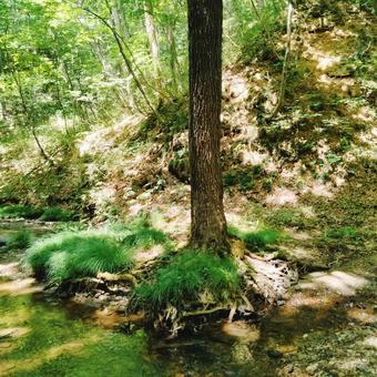 御堂新田の滝の風景 2025 御堂新田の滝の風景 2025 御堂新田の滝,玉吹の滝,滝の写真素材