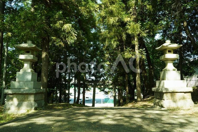 林の中の神社 神社,涼しい,木漏れ日の写真素材