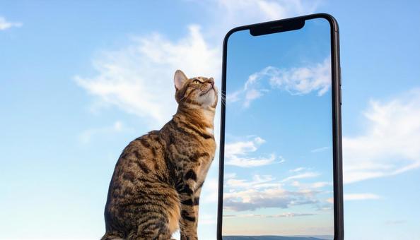 没入する猫のまなざし 没入する猫のまなざしの写真