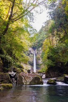 根尾の滝 秋( 飛騨小坂) 根尾の滝 秋( 飛騨小坂) 根尾の滝,渓流,渓谷の写真素材