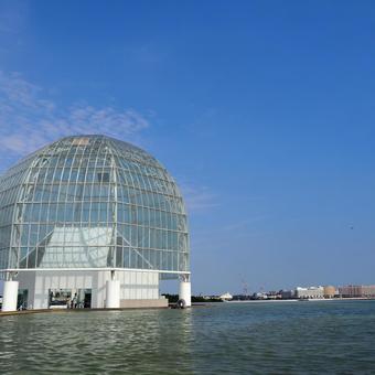 葛西臨海水族園から見る浦安市(江戸川区) 葛西臨海水族園から見る浦安市(江戸川区) 夏,葛西臨海公園,葛西臨海水族園の写真素材