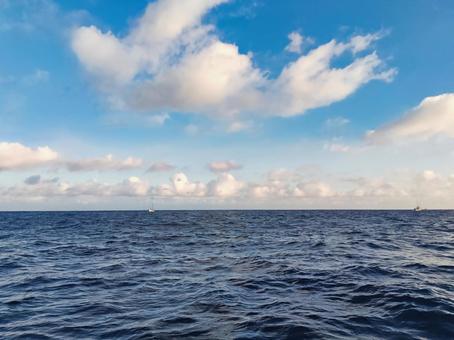 広がる夏の海と水平線 広がる夏の海と水平線の写真