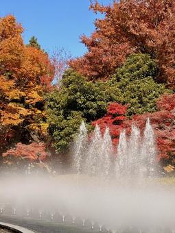 噴水のある風景(秋) 01 噴水,水景施設,紅葉の写真素材