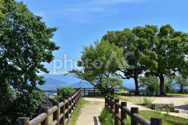 丸亀城　城内　香川 丸亀城,香川県,香川の写真素材