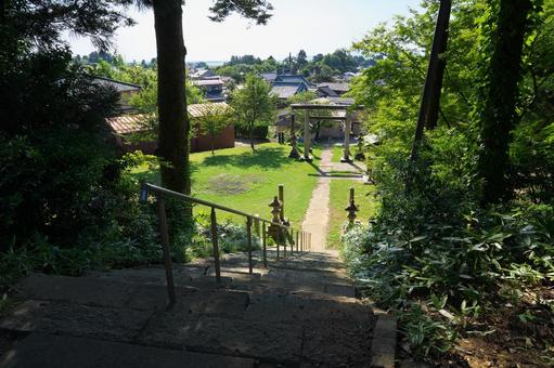 神社の木陰 神社の木陰 神社,鳥居,参道の写真素材