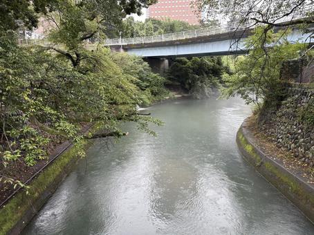 雨の日の川 雨の日の川 川,雨の日,注意の写真素材