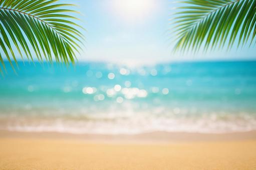 美しいビーチとヤシ　フレーム素材の写真