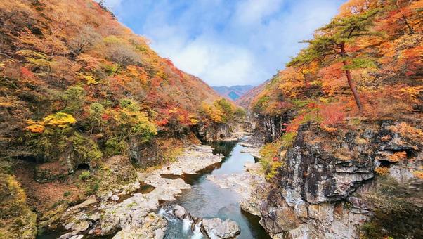 山と渓谷の紅葉 山と渓谷の紅葉 紅葉,秋,風景の写真素材