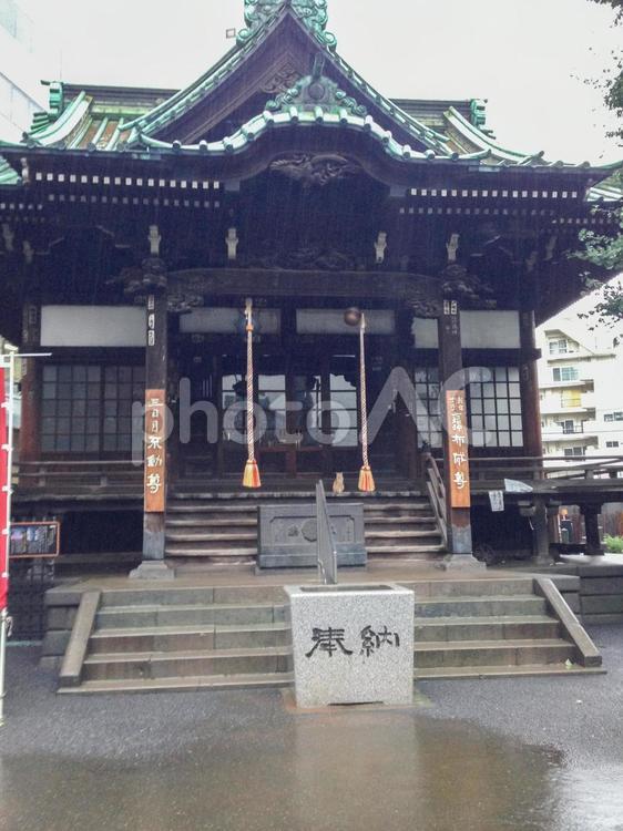 雨の日の太宗寺 太宗寺,雨,寺の写真素材