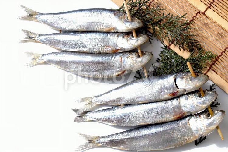 めざし　イワシの干物 めざし,目刺し,イワシの写真素材