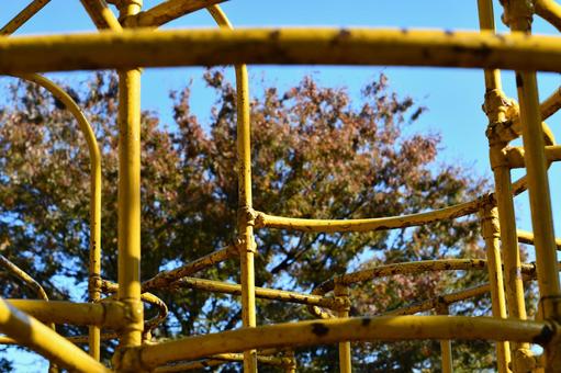 Photo, autumn leaves, to color, autumn, 