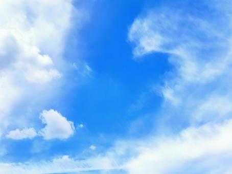 夏の青空 夏の青空の写真