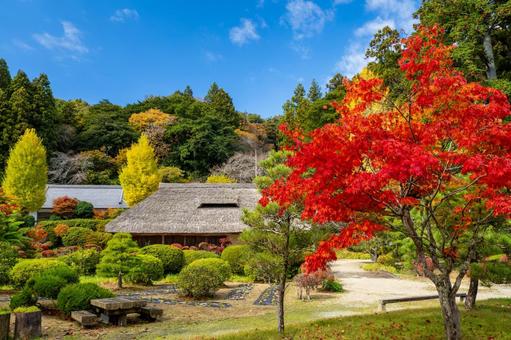 旧佐藤家住宅の秋⑸ 家,古民家,旧佐藤家住宅の写真素材