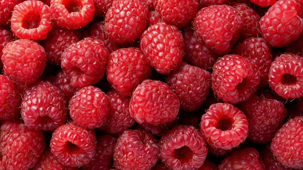 甘酸っぱい香りが漂うラズベリーの集まりの写真