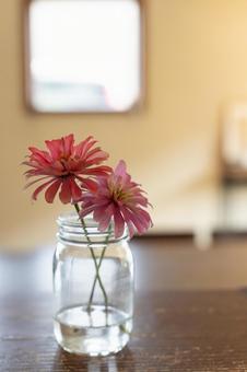 明るい窓辺のピンクの花_縦 花,フラワー,ピンクの写真素材