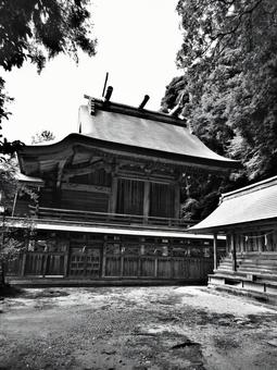 島根県-物部神社-本殿-白黒 島根県-物部神社-本殿-白黒 物部神社,神社,石見国の写真素材