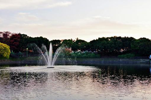 秋のたそがれの公園風景 噴水,春日大池,桃山公園の写真素材
