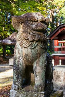 安狐山斗蔵寺⒂ 寺,寺院,安狐山斗蔵寺の写真素材