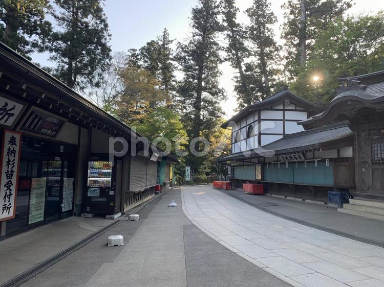 高尾山薬王院　夕方 高尾山薬王院,本堂,高尾山の写真素材