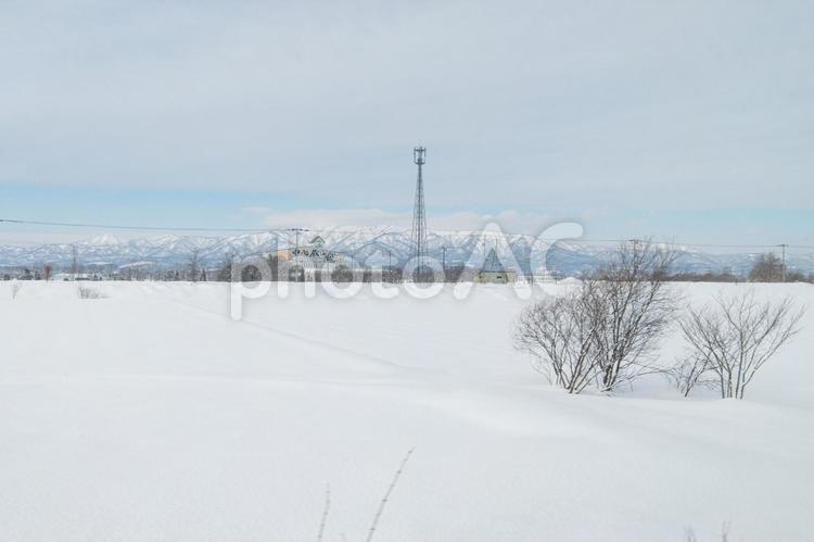 電車からの眺め　雪景色　素材 電車,乗り物,眺めの写真素材