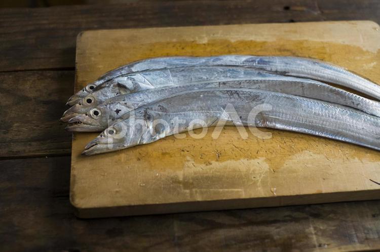 まな板の上のタチウオ タチウオ,太刀魚,たちうおの写真素材