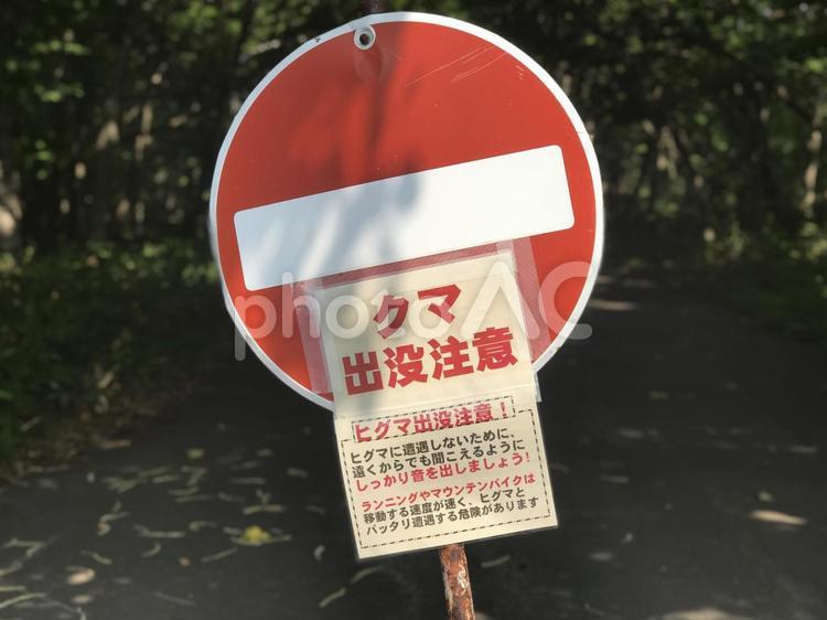 熊出没注意 熊出没注意,熊に注意,立札の写真素材