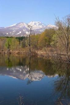 いもり池6 いもり池6 いもり池,春,風景の写真素材